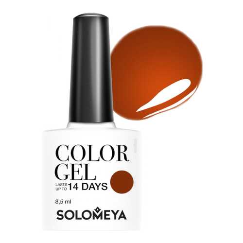Гель-лак для ногтей Solomeya Color Gel Пряная корица в МейТан