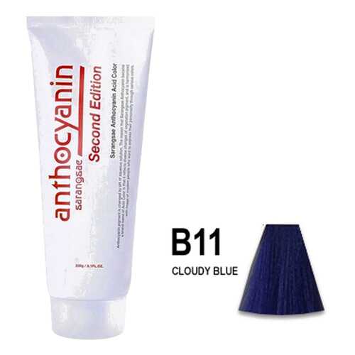 Краска для волос ANTHOCYANIN 230 B11 - Cloudy Blue в МейТан