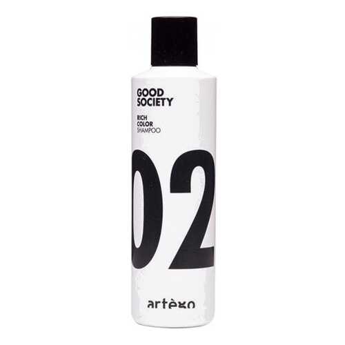 Шампунь Artego Rich Color Shampoo для Окрашенных Волос, 250 мл в МейТан